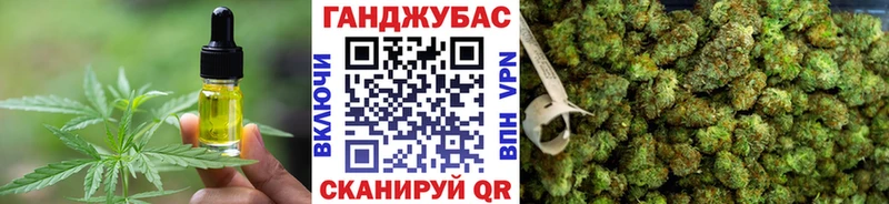 Купить закладки  Зима  Cannafood конопля 