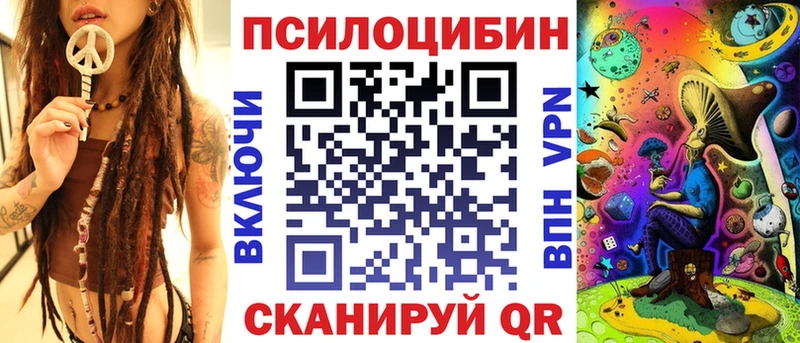 Купить  Зима  Галлюциногенные грибы прущие грибы 