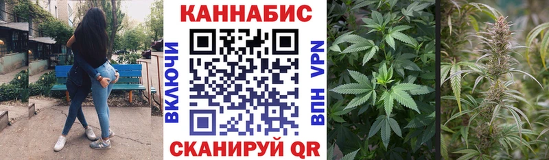 Каннабис сатива  Купить  Зима 